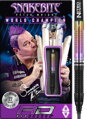 Red Dragon šipky Peter Wright World Champion soft 