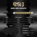 Mission šipky Kinsuji steel 22g