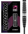 Red Dragon šipky Paradym Torpedo steel 26g