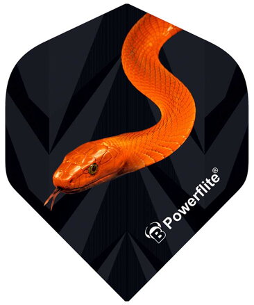 Bulls letky Power Flite Mamba No.2