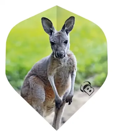 Bulls letky Motex Kangaroo No.2