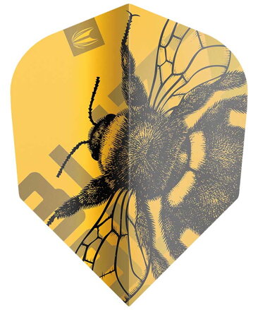 Target letky Buzz 3 sady No.6