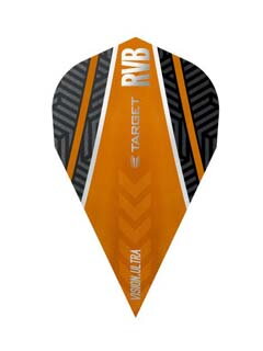 Target letky Raymond van Barneveld vapor 332070